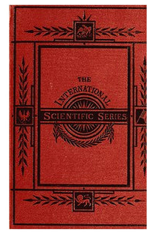 International scientific series, 19