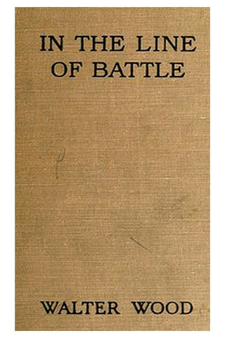 In the Line of Battle: Soldiers' Stories of the War