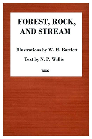 Forest, Rock, and Stream