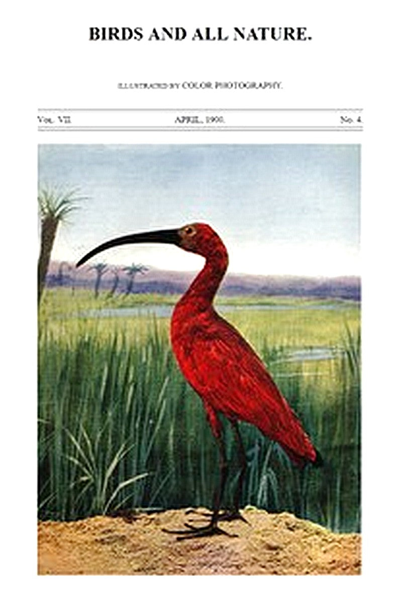 Birds and All Nature, Vol. 7, No. 4, April 1900
