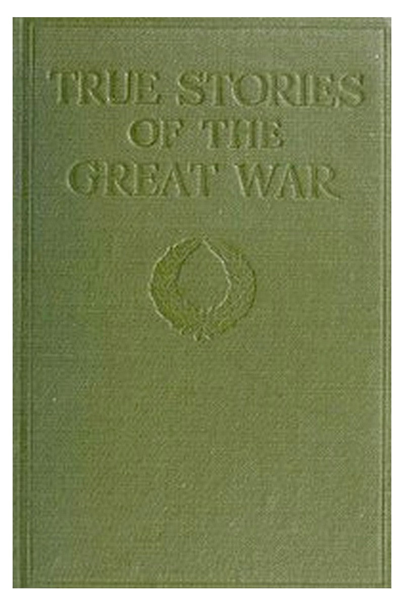 True Stories of the Great War, Volume 1 (of 6)
