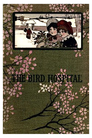 The Bird Hospital