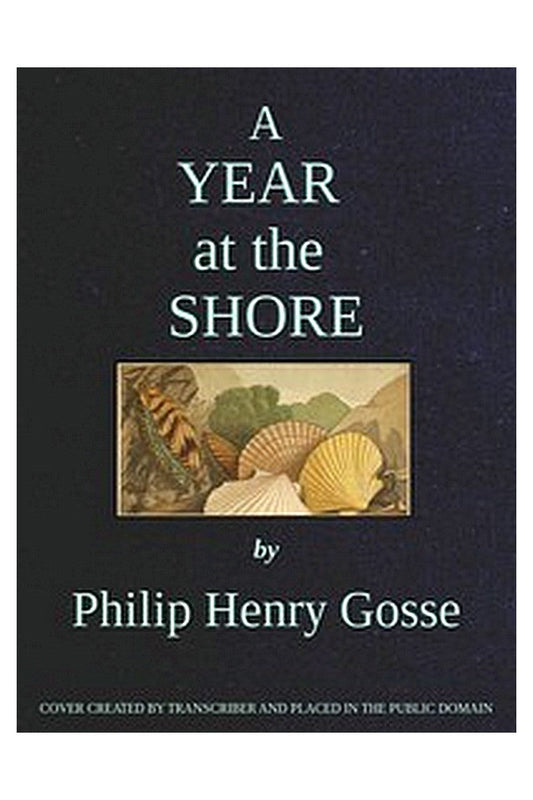 A Year at the Shore