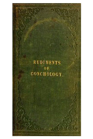 Rudiments of Conchology