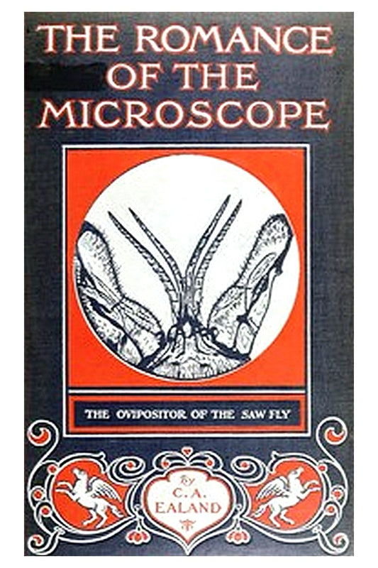 The Romance of the Microscope
