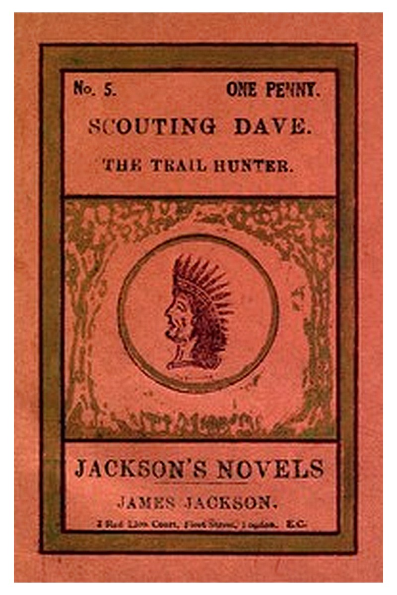 Jackson's novels