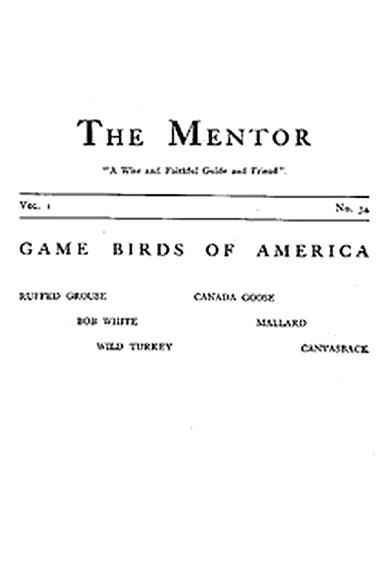 The Mentor: Game Birds of America, Vol. 1, Num. 34, Serial No. 34