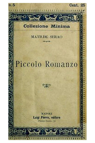 Piccolo romanzo
