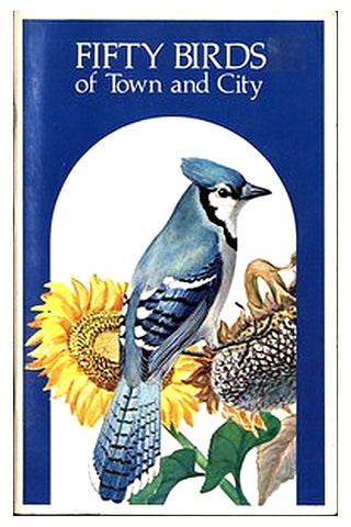 Fifty Birds of Town and City