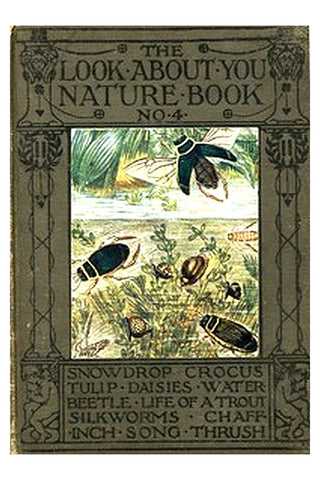 The 'Look About You' Nature Study Books, Book 4 [of 7]