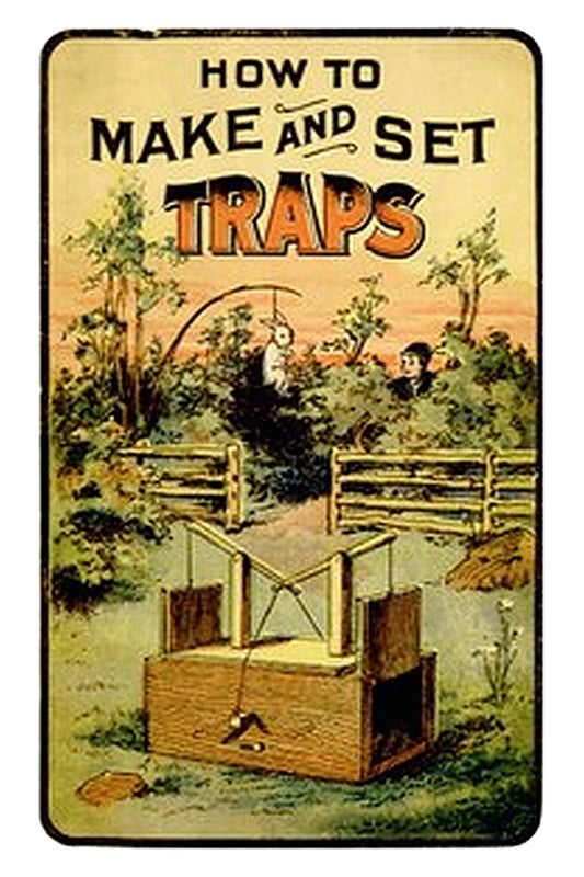 How to Make and Set Traps