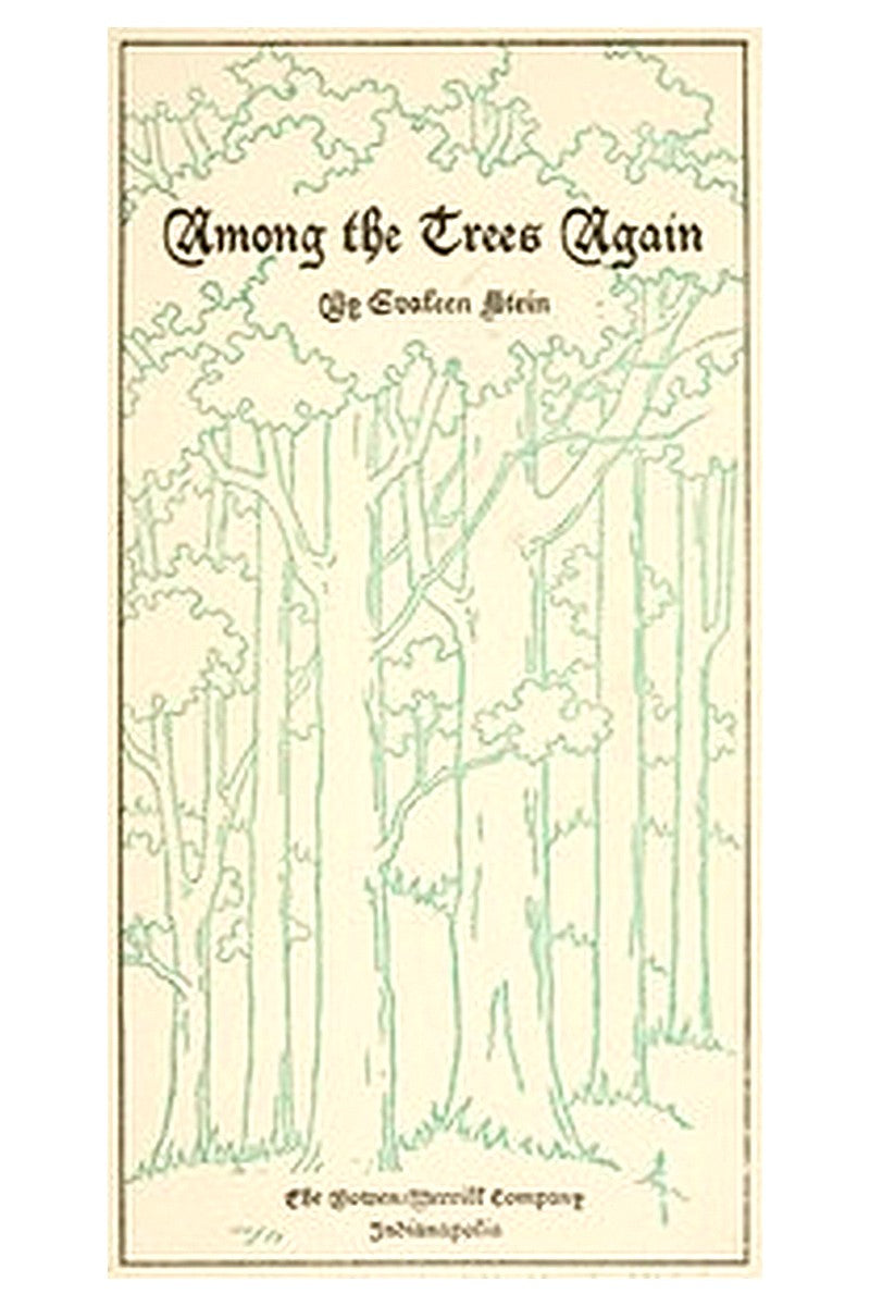 Among the Trees Again