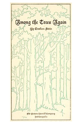 Among the Trees Again