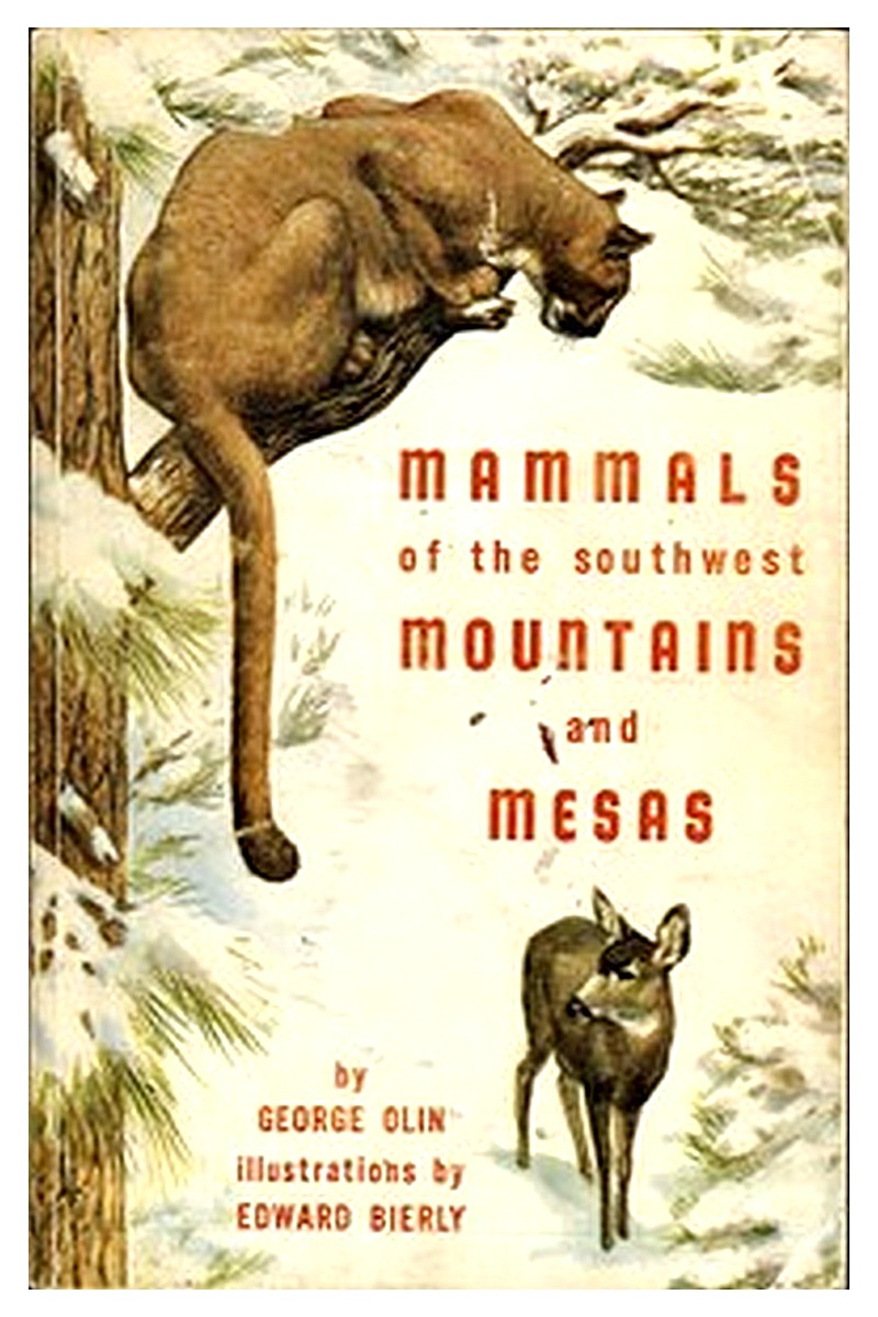 Mammals of the Southwest Mountains and Mesas