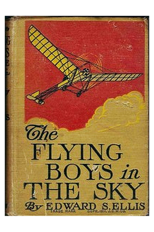 Flying boys series