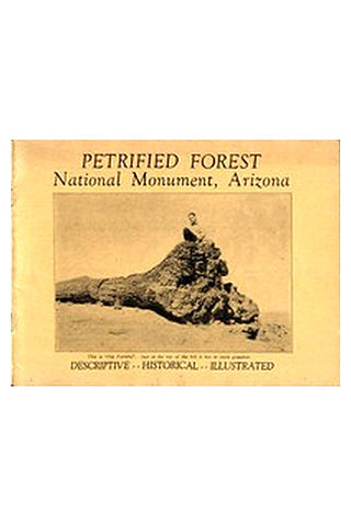 Petrified Forest National Monument, Arizona