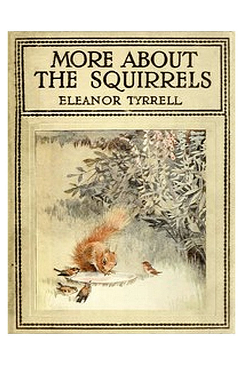 More About the Squirrels