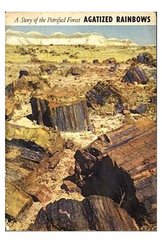 Agatized Rainbows: A Story of the Petrified Forest