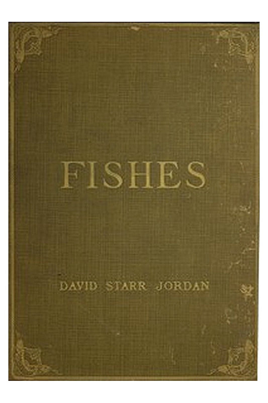 A Guide to the Study of Fishes, Volume 2 (of 2)