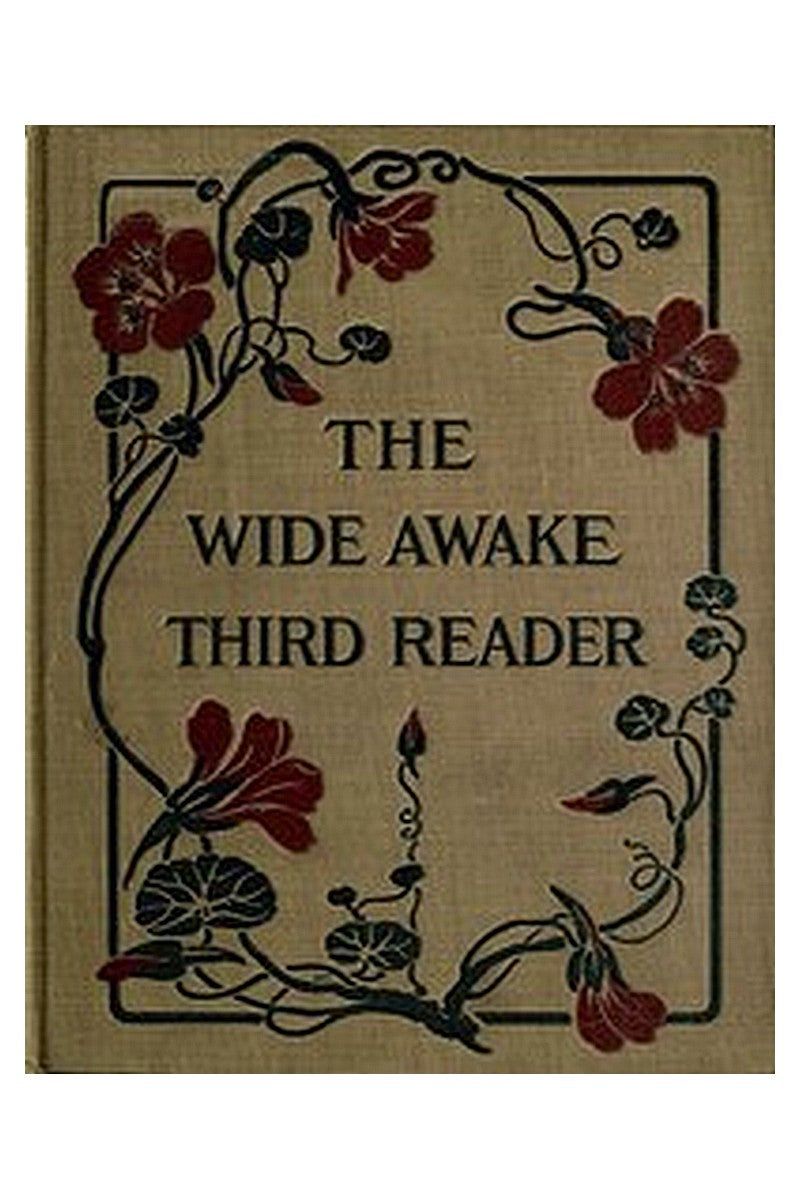 The Wide Awake Third Reader