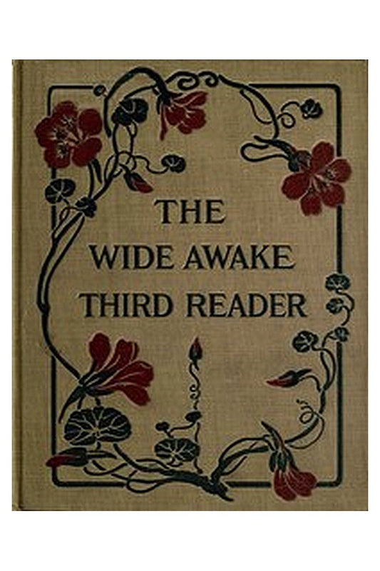 The Wide Awake Third Reader