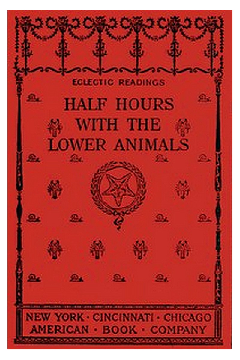 Half Hours with the Lower Animals
