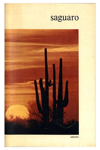 Saguaro National Monument, Arizona