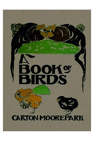 A Book of Birds