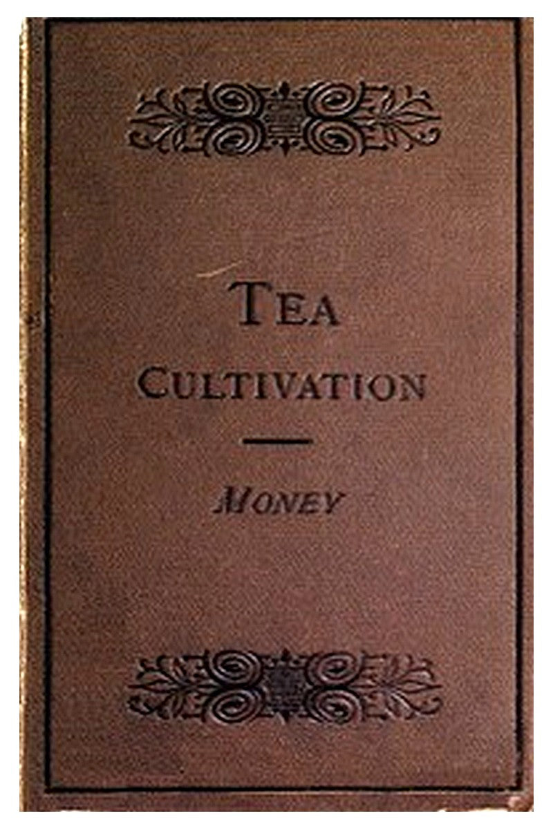 The Cultivation and Manufacture of Tea