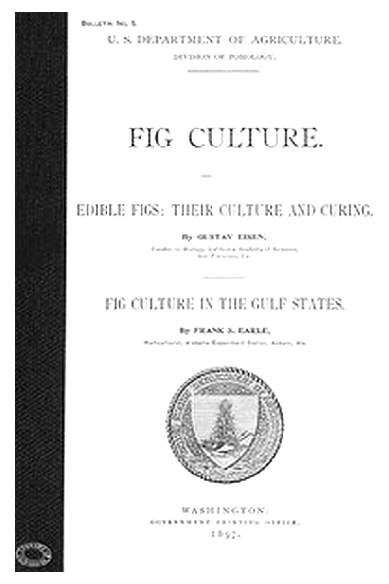 Fig Culture
