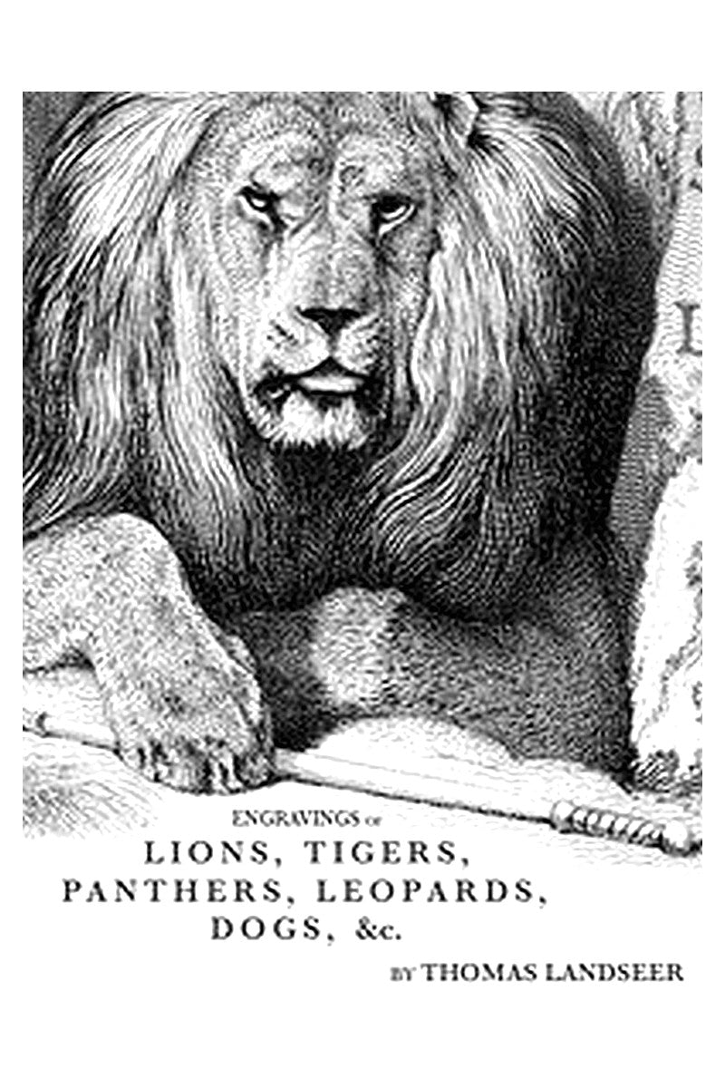 Engravings of Lions, Tigers, Panthers, Leopards, Dogs, &c