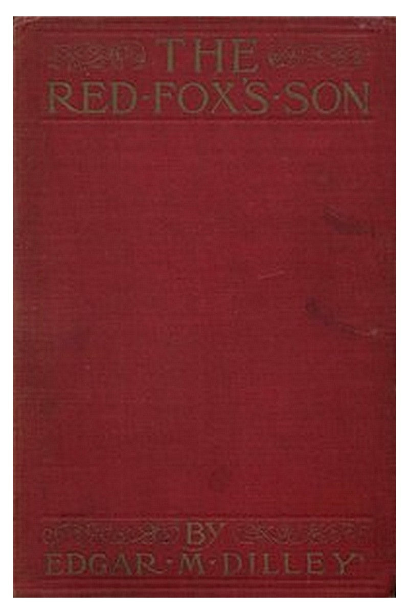 The Red Fox's Son: A Romance of Bharbazonia