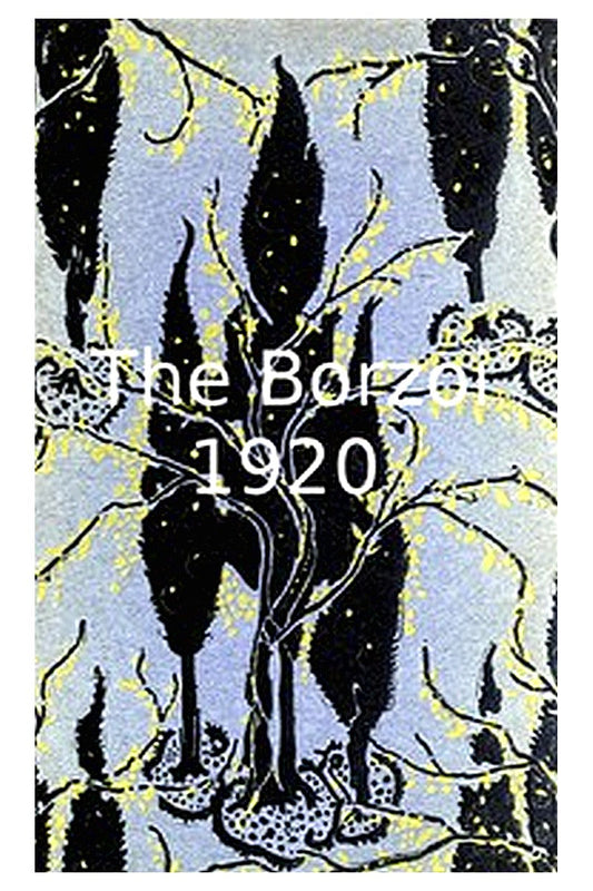 The Borzoi 1920: Being a sort of record of five years' publishing