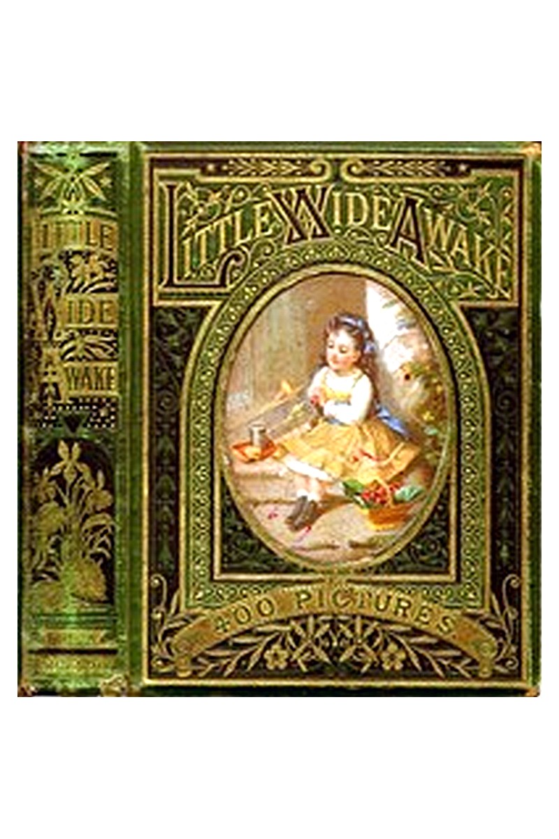 Little Wideawake: A story book for little children