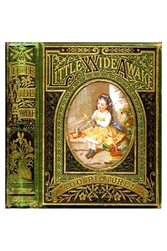 Little Wideawake: A story book for little children