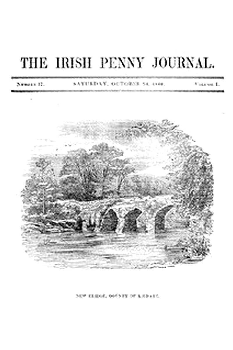 The Irish Penny Journal, Vol. 1 No. 17, October 24, 1840