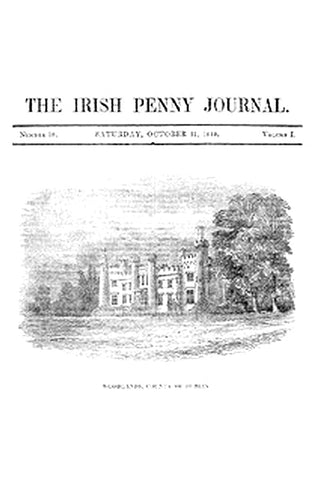 The Irish Penny Journal, Vol. 1 No. 18, October 31, 1840