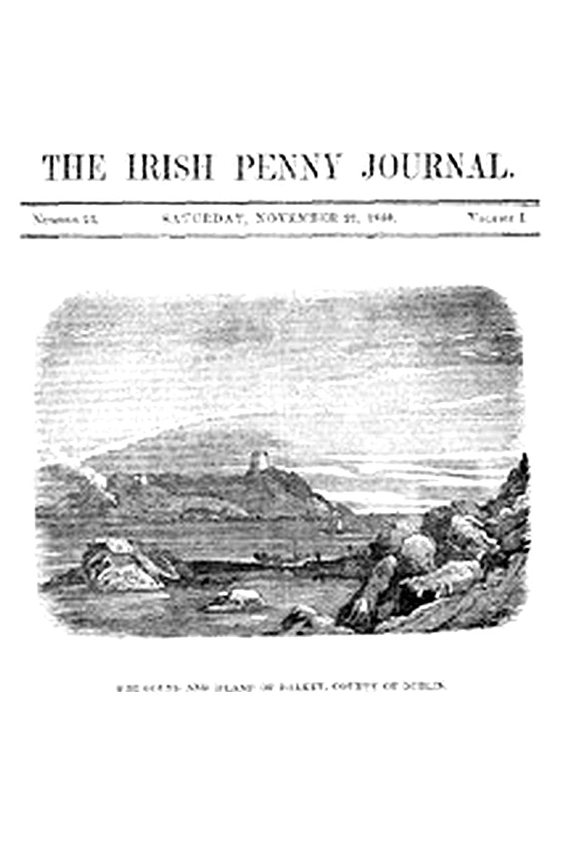 The Irish Penny Journal, Vol. 1 No. 21, November 21, 1840