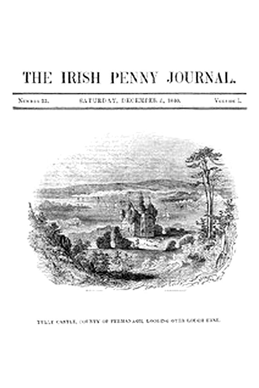 The Irish Penny Journal, Vol. 1 No. 23, December 5, 1840