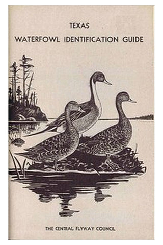 Texas Waterfowl Identification Guide