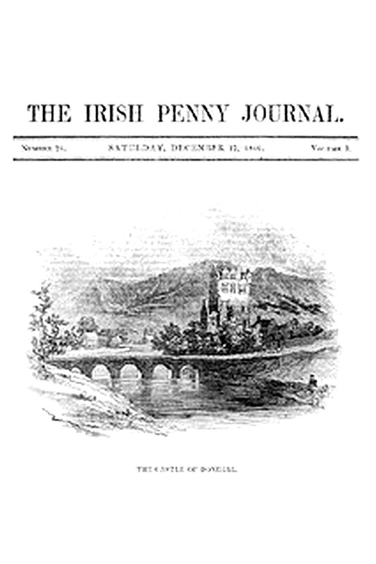 The Irish Penny Journal, Vol. 1 No. 24, December 12, 1840