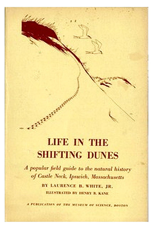 Life in the Shifting Dunes

