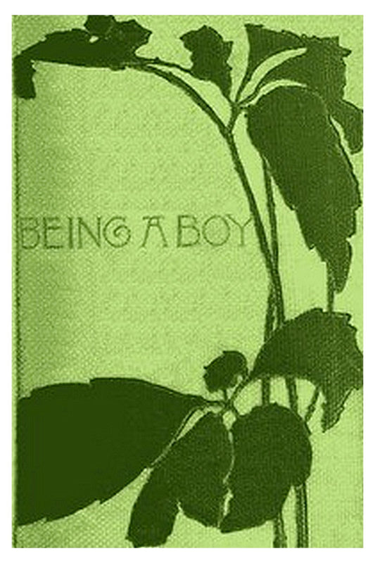 Being a Boy