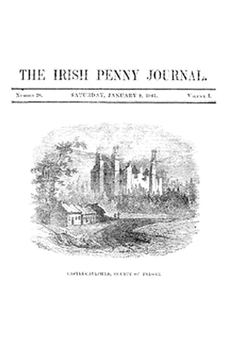 The Irish Penny Journal, Vol. 1 No. 28, January 9, 1841