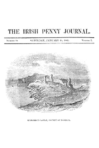 The Irish Penny Journal, Vol. 1 No. 29, January 16, 1841