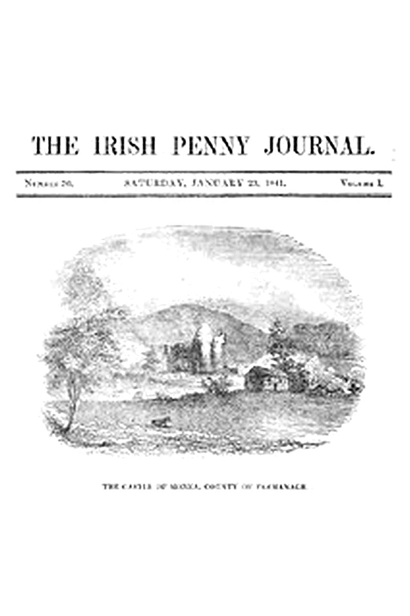 The Irish Penny Journal, Vol. 1 No. 30, January 23, 1841