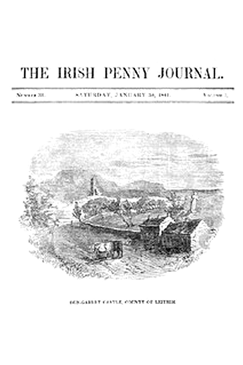 The Irish Penny Journal, Vol. 1 No. 31, January 30, 1841