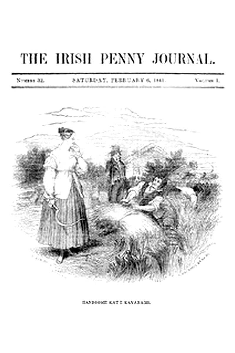 The Irish Penny Journal, Vol. 1 No. 32, February 6, 1841