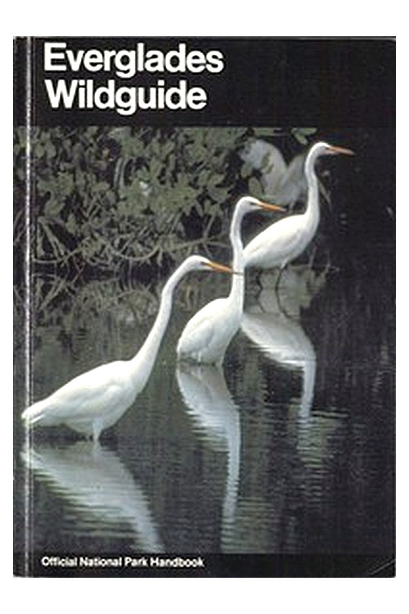 Everglades Wildguide