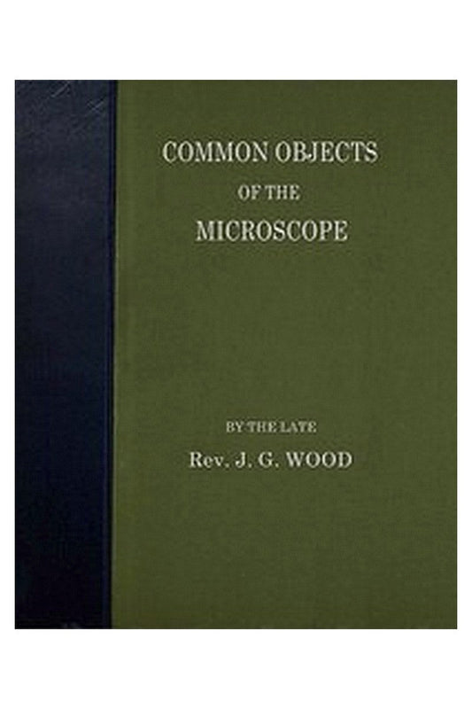 Common Objects of the Microscope